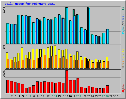 Daily usage for February 2021