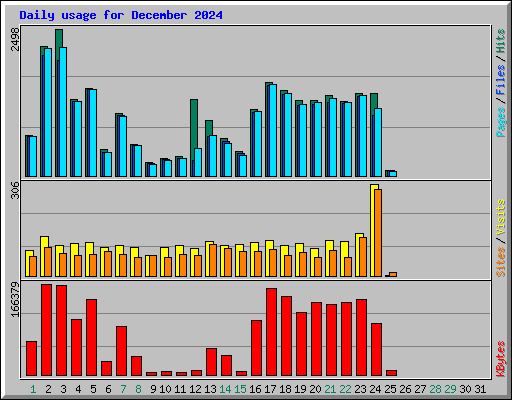 Daily usage for December 2024