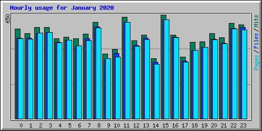 Hourly usage for January 2020