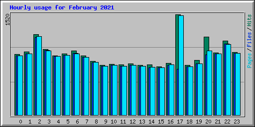 Hourly usage for February 2021