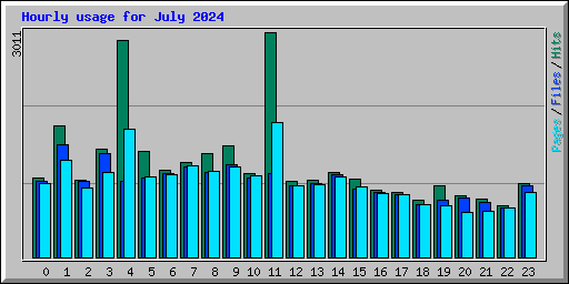 Hourly usage for July 2024