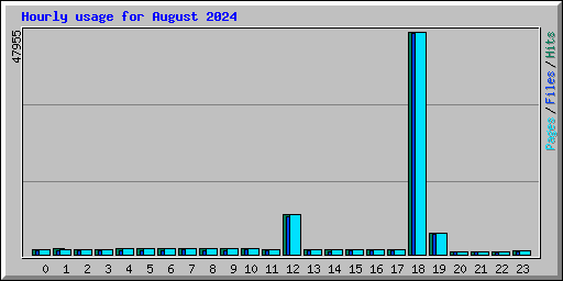 Hourly usage for August 2024