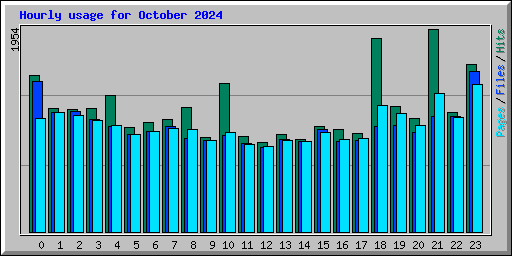 Hourly usage for October 2024