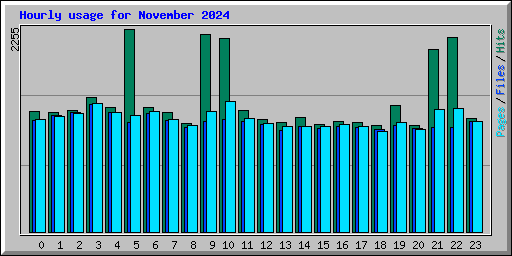 Hourly usage for November 2024