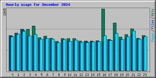 Hourly usage for December 2024