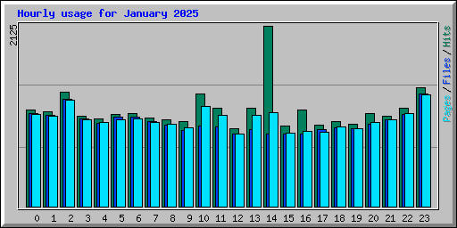 Hourly usage for January 2025