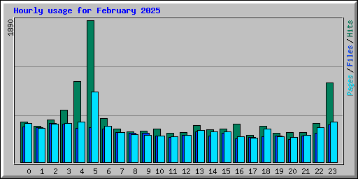 Hourly usage for February 2025