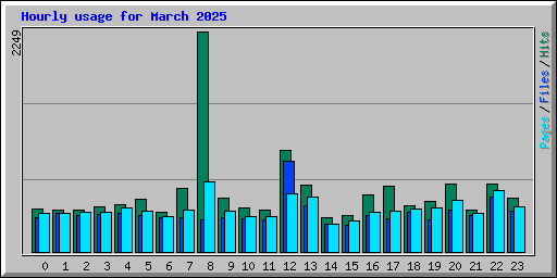 Hourly usage for March 2025