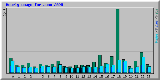 Hourly usage for June 2025