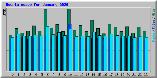 Hourly usage for January 2026