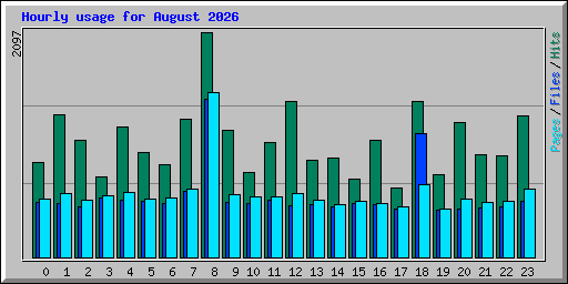 Hourly usage for August 2026